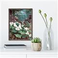 Picture of White Trillium _GroupedProduct_Rectangle_Portrait_Canvas_Framed_