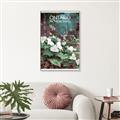 Picture of White Trillium _GroupedProduct_Rectangle_Portrait_Canvas_Framed_
