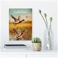 Picture of Canadian Mallard  _GroupedProduct_Rectangle_Portrait_Unframed_Print_Only_