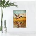 Picture of Canadian Mallard  _GroupedProduct_Rectangle_Portrait_Unframed_Print_Only_