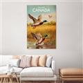 Picture of Canadian Mallard  _GroupedProduct_Rectangle_Portrait_Unframed_Print_Only_