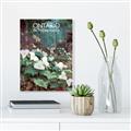 Picture of White Trillium _GroupedProduct_Rectangle_Portrait_Unframed_Print_Only_