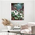 Picture of White Trillium _GroupedProduct_Rectangle_Portrait_Unframed_Print_Only_