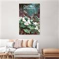Picture of White Trillium _GroupedProduct_Rectangle_Portrait_Unframed_Print_Only_