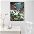 Picture of White Trillium _GroupedProduct_Rectangle_Portrait_Unframed_Print_Only_