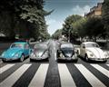 Picture of The Beetles _GroupedProduct_Rectangle_Landscape_Photography _GroupedProduct_Rectangle_Landscape_Canvas_
