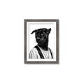 Picture of Wild Threads _GroupedProduct_Rectangle_Portrait_Photography _GroupedProduct_Rectangle_Portrait_Framed_Matted_