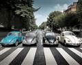 Picture of The Beetles _GroupedProduct_Rectangle_Landscape_Photography _GroupedProduct_Rectangle_Landscape_Unframed_Print_Only_