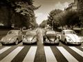 Picture of The Beetles _GroupedProduct_Rectangle_Landscape_Photography _GroupedProduct_Rectangle_Landscape_Unframed_Print_Only_