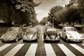 Picture of The Beetles _GroupedProduct_Rectangle_Landscape_Photography _GroupedProduct_Rectangle_Landscape_Unframed_Print_Only_