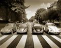 Picture of The Beetles _GroupedProduct_Rectangle_Landscape_Photography _GroupedProduct_Rectangle_Landscape_Unframed_Print_Only_