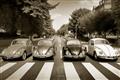 Picture of The Beetles _GroupedProduct_Rectangle_Landscape_Photography _GroupedProduct_Rectangle_Landscape_Unframed_Print_Only_