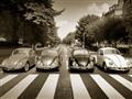 Picture of The Beetles _GroupedProduct_Rectangle_Landscape_Photography _GroupedProduct_Rectangle_Landscape_Unframed_Print_Only_