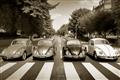 Picture of The Beetles _GroupedProduct_Rectangle_Landscape_Photography _GroupedProduct_Rectangle_Landscape_Unframed_Print_Only_