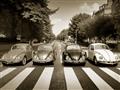 Picture of The Beetles _GroupedProduct_Rectangle_Landscape_Photography _GroupedProduct_Rectangle_Landscape_Unframed_Print_Only_