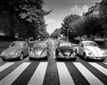 Picture of The Beetles _GroupedProduct_Rectangle_Landscape_Photography _GroupedProduct_Rectangle_Landscape_Unframed_Print_Only_