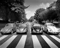 Picture of The Beetles _GroupedProduct_Rectangle_Landscape_Photography _GroupedProduct_Rectangle_Landscape_Unframed_Print_Only_