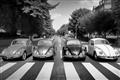 Picture of The Beetles _GroupedProduct_Rectangle_Landscape_Photography _GroupedProduct_Rectangle_Landscape_Unframed_Print_Only_