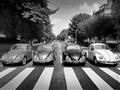 Picture of The Beetles _GroupedProduct_Rectangle_Landscape_Photography _GroupedProduct_Rectangle_Landscape_Unframed_Print_Only_