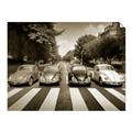 Picture of The Beetles _GroupedProduct_Rectangle_Landscape_Photography _GroupedProduct_Rectangle_Landscape_Unframed_Print_Only_