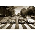 Picture of The Beetles _GroupedProduct_Rectangle_Landscape_Photography _GroupedProduct_Rectangle_Landscape_Unframed_Print_Only_