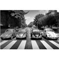 Picture of The Beetles _GroupedProduct_Rectangle_Landscape_Photography _GroupedProduct_Rectangle_Landscape_Unframed_Print_Only_