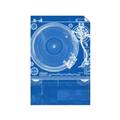 Picture of Blue Print Vinyl II _GroupedProduct_Rectangle_Portrait_Photography _GroupedProduct_Rectangle_Portrait_Unframed_Print_Only_