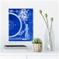 Picture of Blue Print Vinyl I _GroupedProduct_Rectangle_Portrait_Photography _GroupedProduct_Rectangle_Portrait_Canvas_