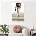 Picture of Walk of Glam _GroupedProduct_Rectangle_Portrait_Photography _GroupedProduct_Rectangle_Portrait_Unframed_Print_Only_