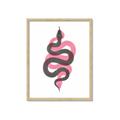 Picture of Serpent _GroupedProduct_Rectangle_Portrait_Framed_Matted_