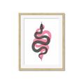 Picture of Serpent _GroupedProduct_Rectangle_Portrait_Framed_Matted_