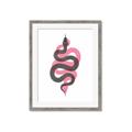 Picture of Serpent _GroupedProduct_Rectangle_Portrait_Framed_Matted_