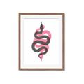 Picture of Serpent _GroupedProduct_Rectangle_Portrait_Framed_Matted_