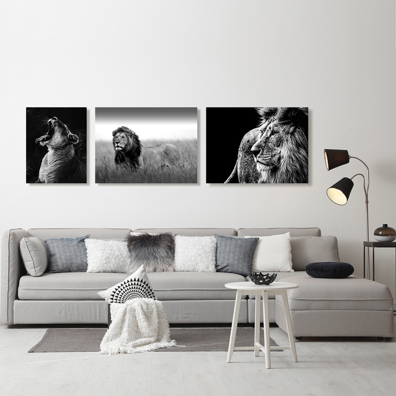 Animals-lion-lioness-tigers-black-white-photography-safari-sahara