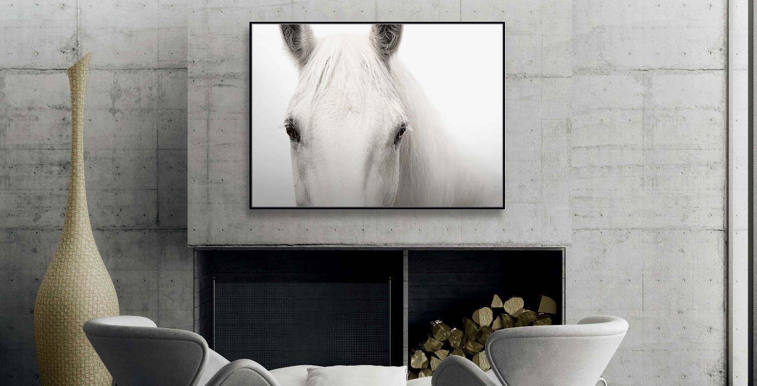 FINE ART ON CANVAS