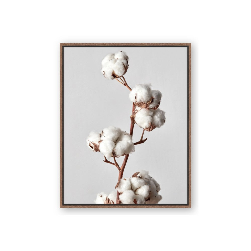 Cotton 