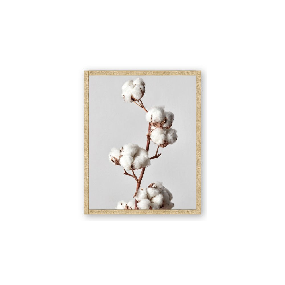 Cotton 