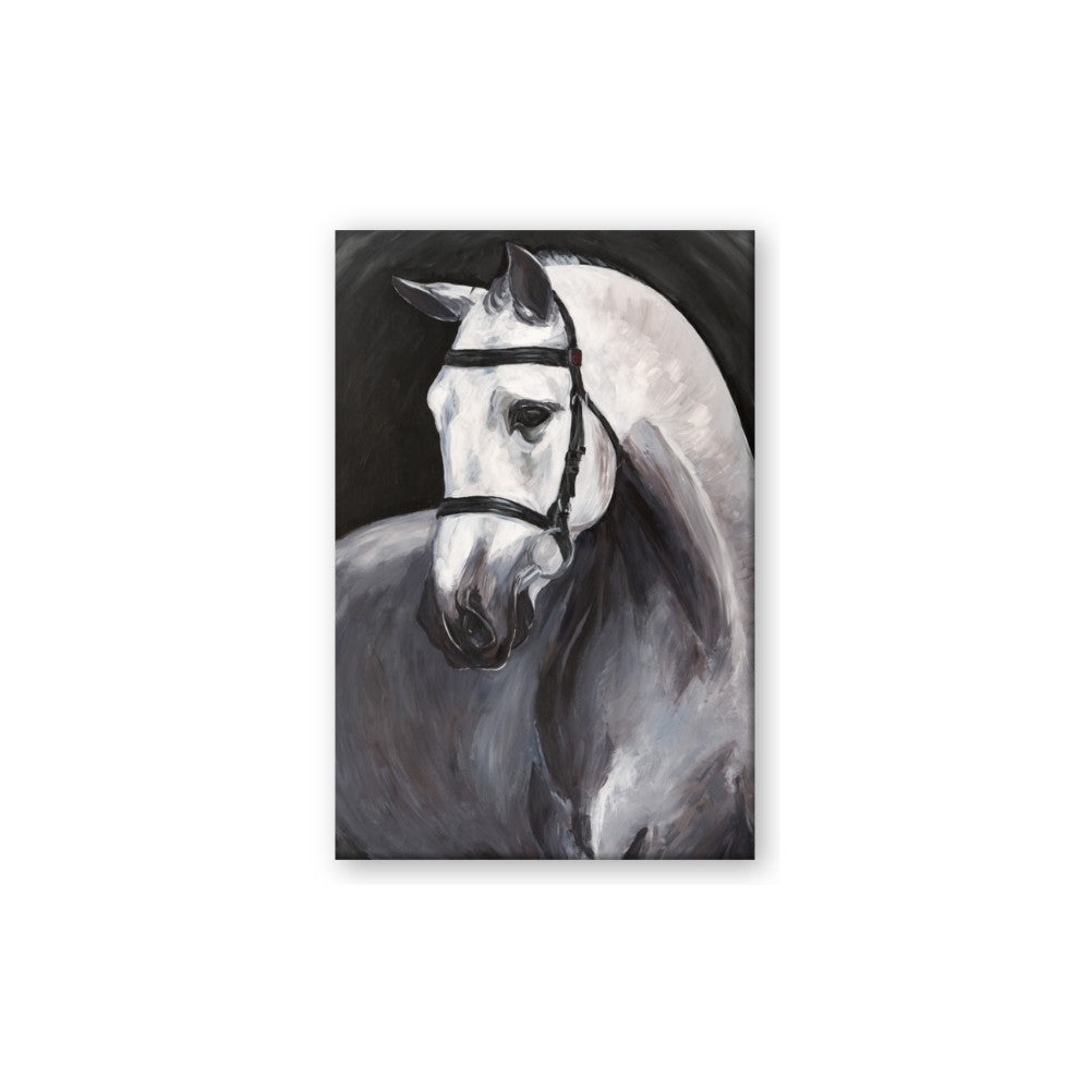 Soft Horse