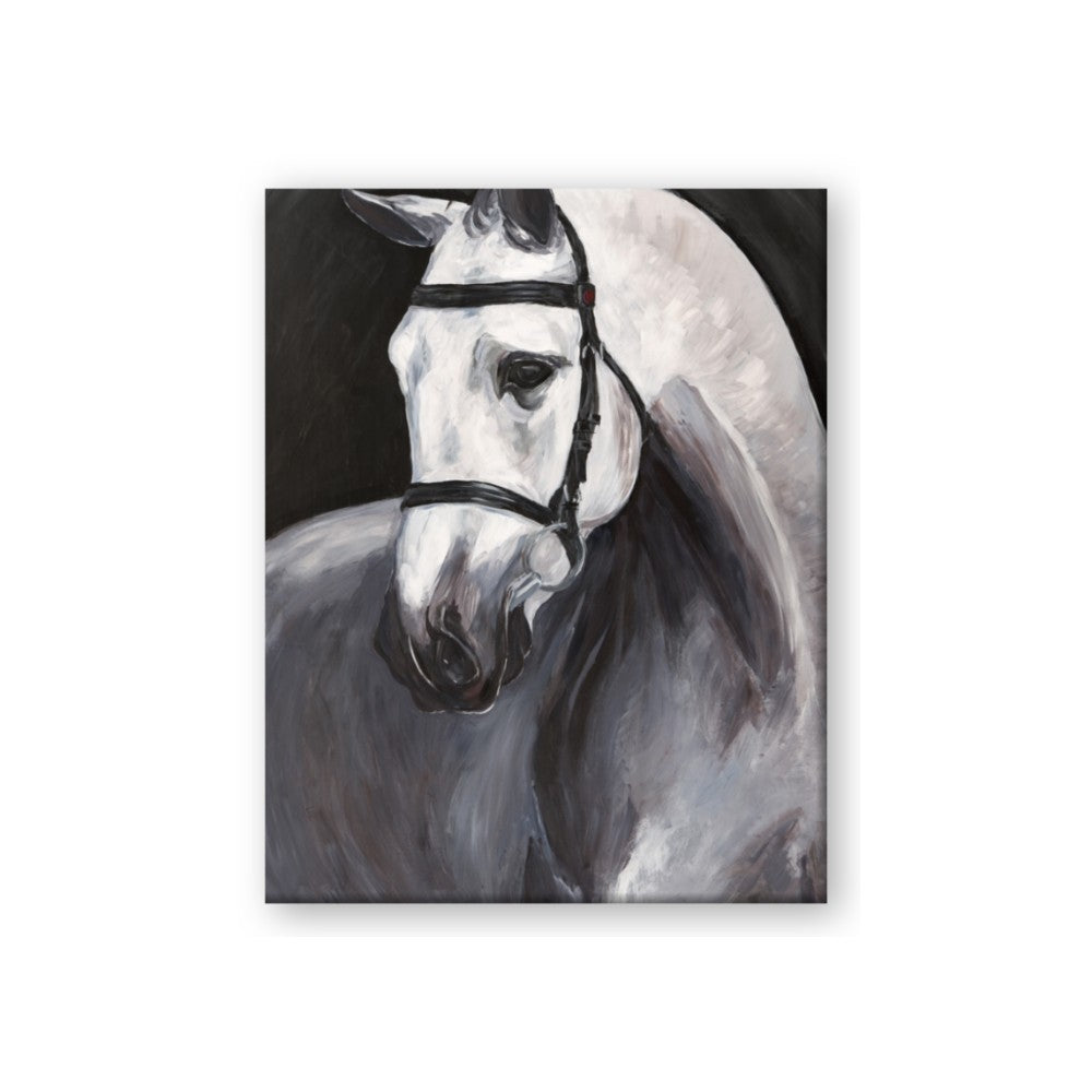 Soft Horse