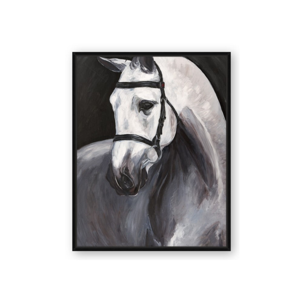 Soft Horse