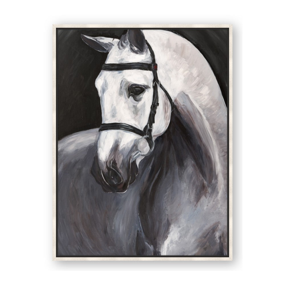 Soft Horse