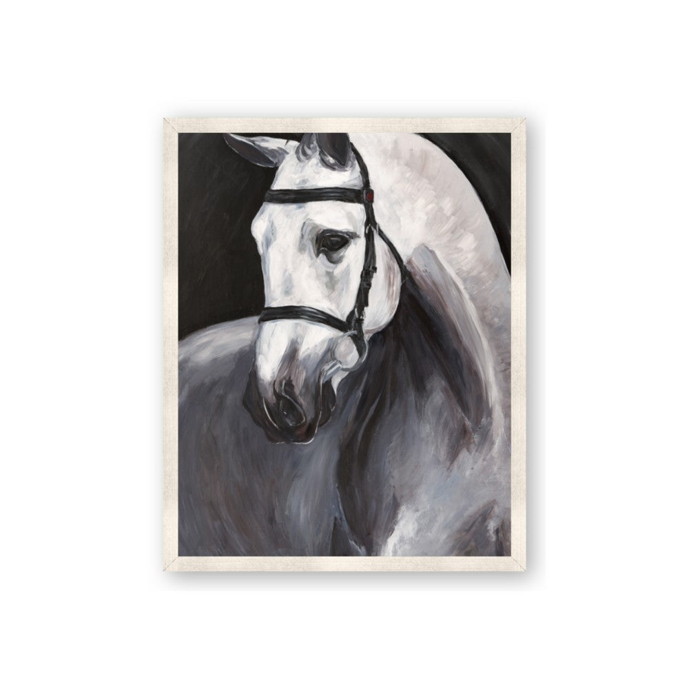 Soft Horse