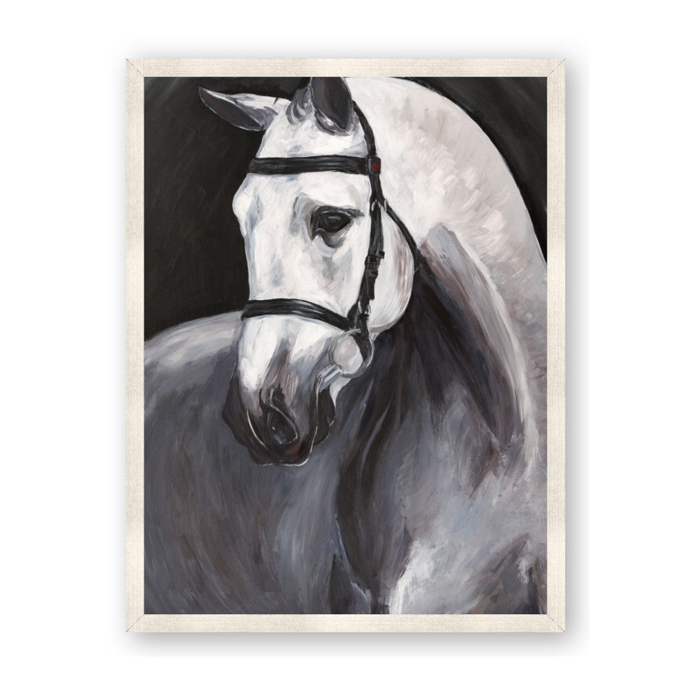 Soft Horse