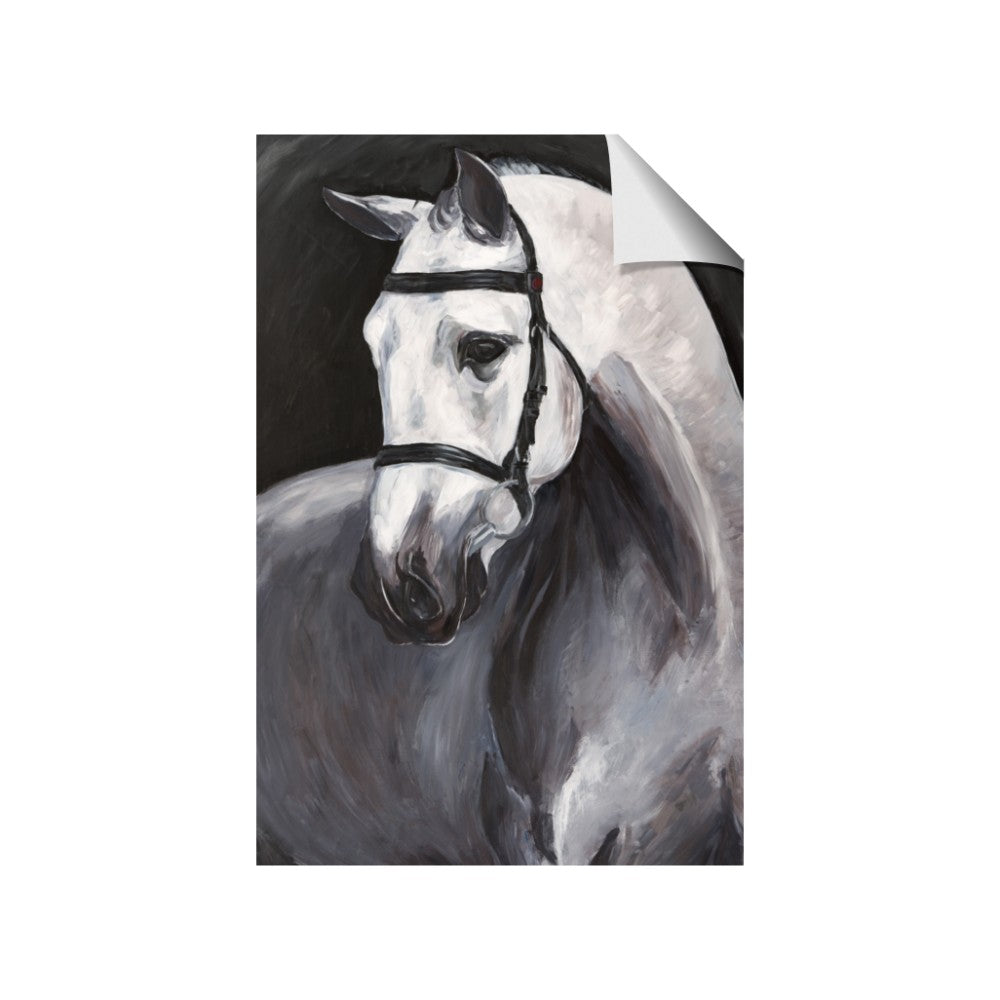 Soft Horse