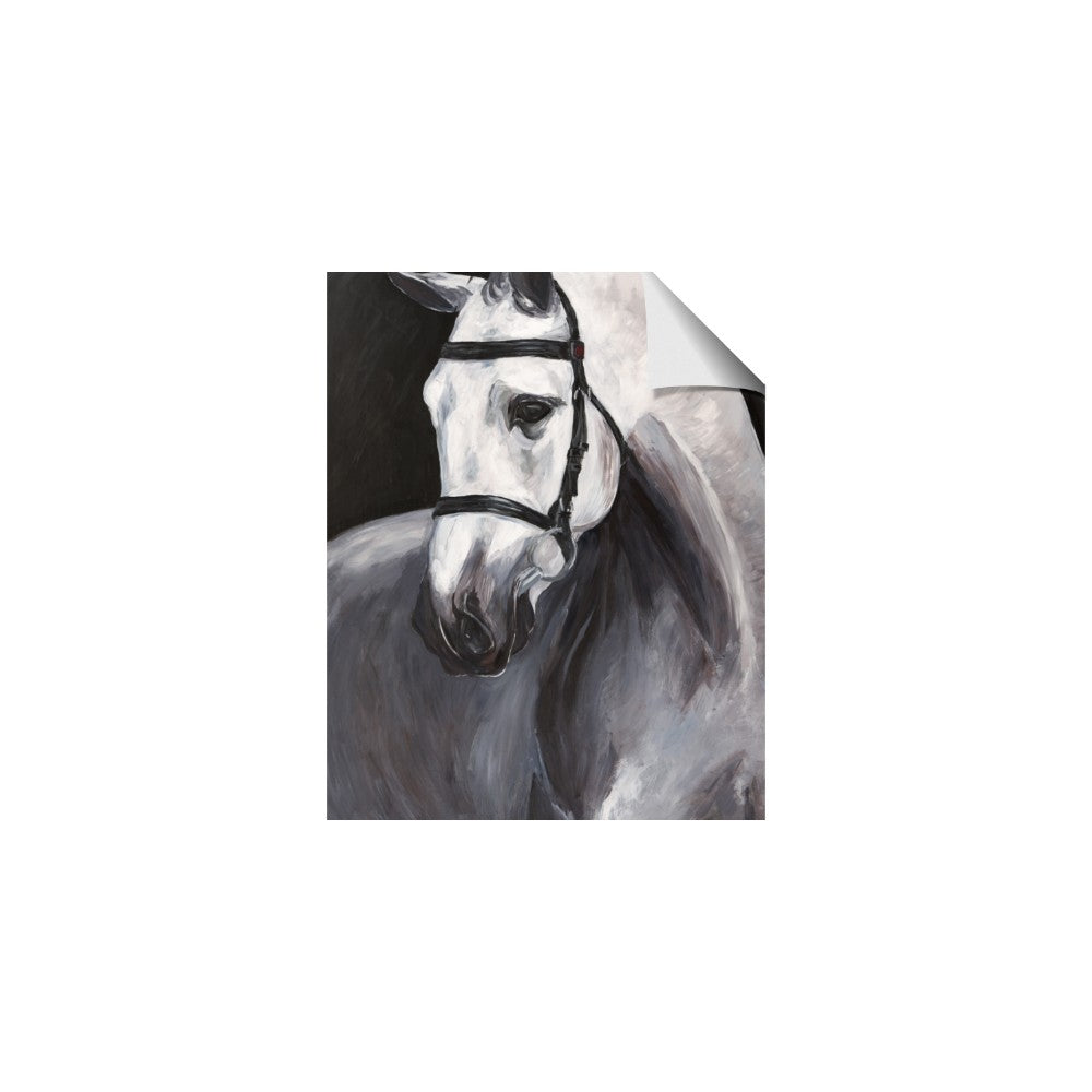 Soft Horse