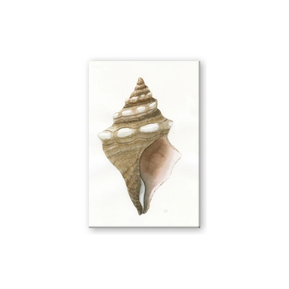Sea Shell I