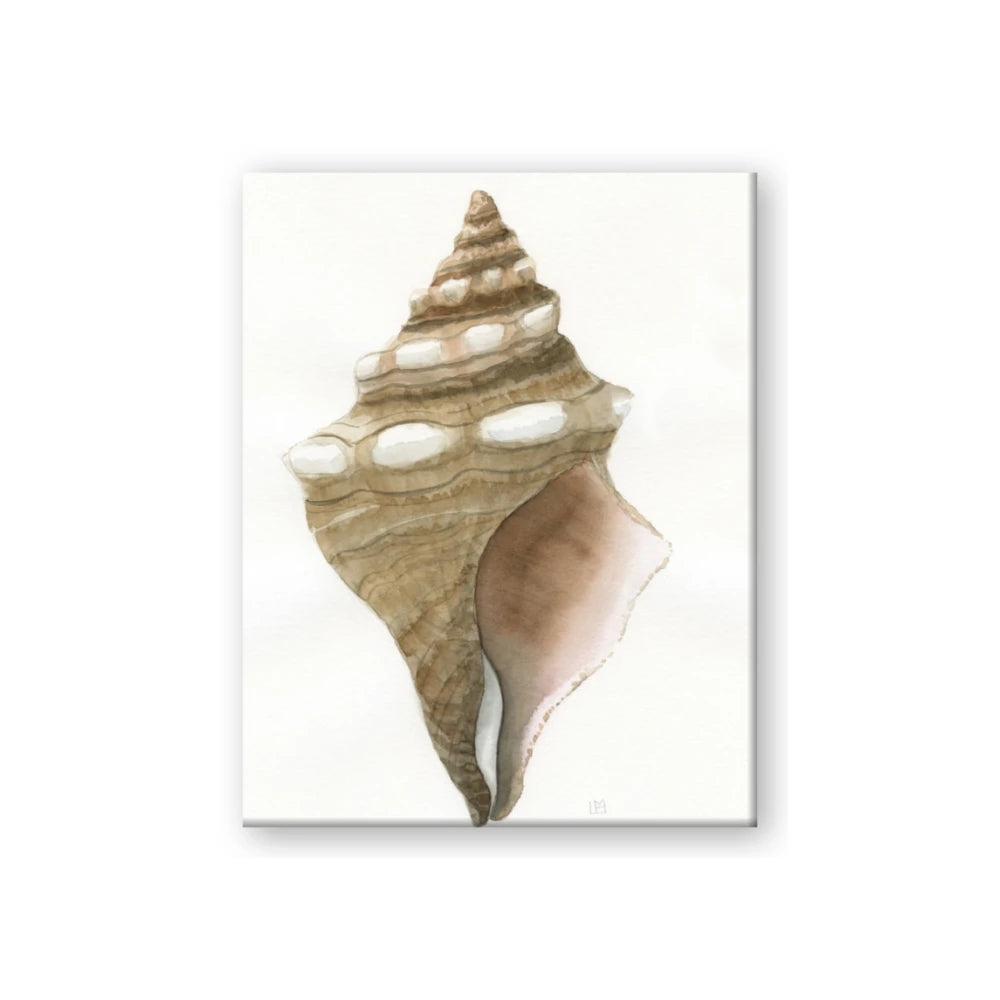 Sea Shell I