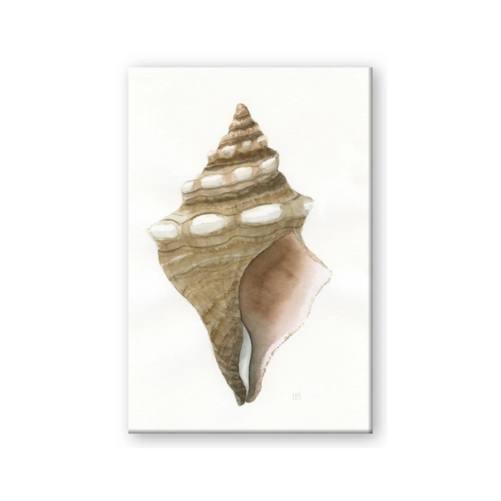 Sea Shell I