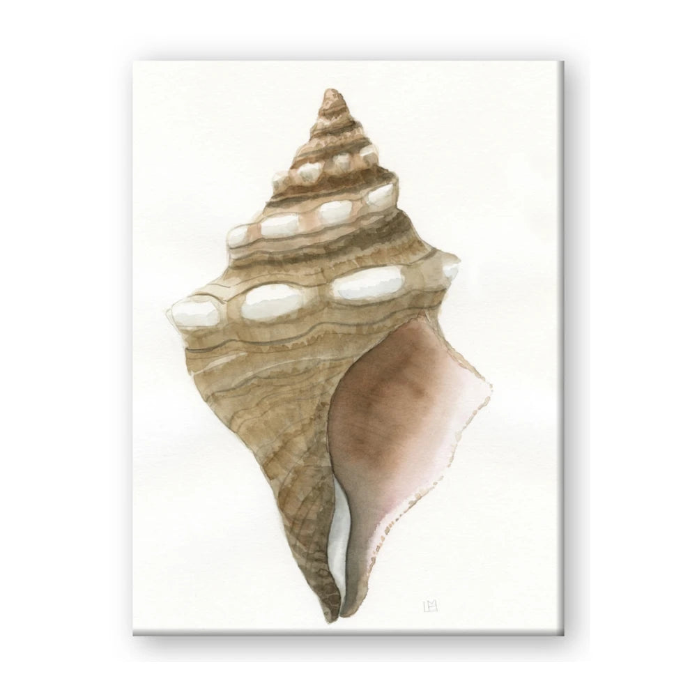 Sea Shell I