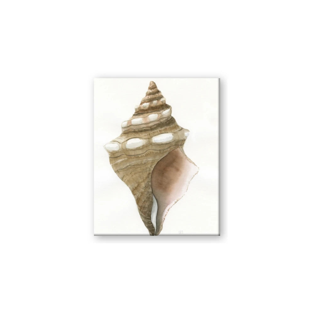 Sea Shell I